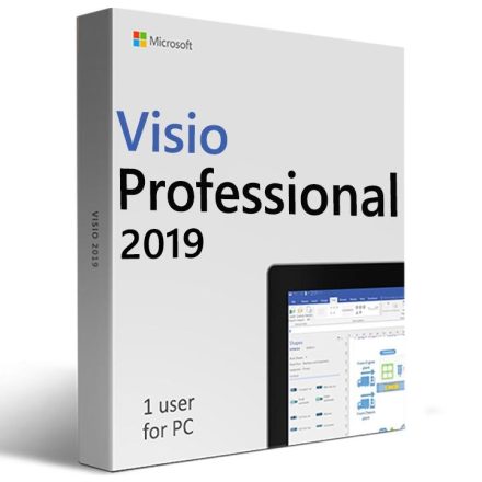 Microsoft Visio Professional 2019 D87-07425 CHEIE digitală