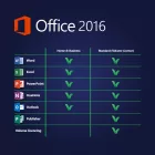 Microsoft Office 2016 Standard 50 PC MAK ESD