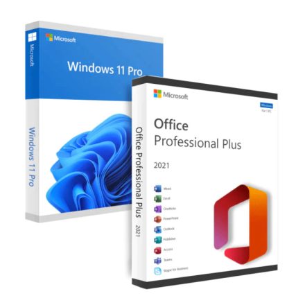 Windows 11 Pro + Office 2021 Professional Plus (deplasabil)