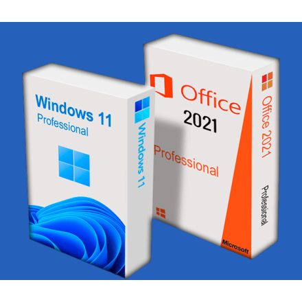 Windows 11 Pro + Office 2021 Professional Plus (deplasabil)