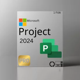Microsoft Visio Professional 2019 D87-07425 CHEIE digitală