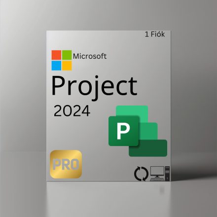 Microsoft Visio Professional 2019 D87-07425 CHEIE digitală