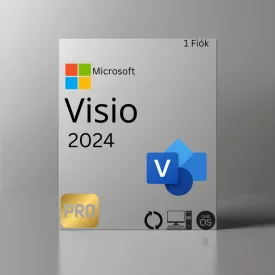 Microsoft Visio Professional 2019 D87-07425 CHEIE digitală