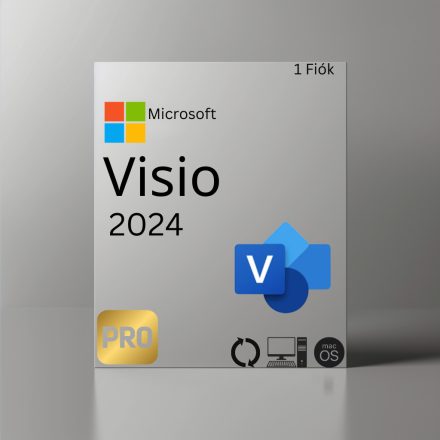 Microsoft Visio Professional 2019 D87-07425 CHEIE digitală